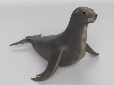 Sea Lion 3D model
