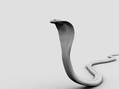 kingcobra 3d model snake 3D model
