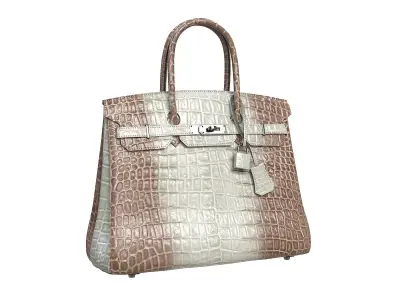 Hermes Birkin Bag Alligator Leather Low-poly 3D model