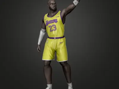 LeBron James 3D Printable 5 3D print model