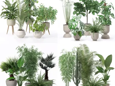 20 Photorealistic Flowers for Interiors - set 121 127 132 137 3D Model Collection