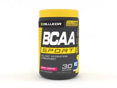 Protein Powder 3D model