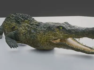 Crocodile Low-poly 3D model