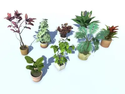 Indoor Potted Plant Lowpoly Low-poly 3D model