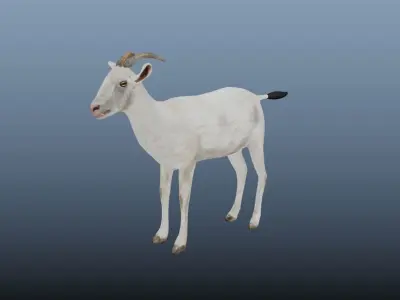 Goat  Animated VFX Grace  Low-poly 3D model