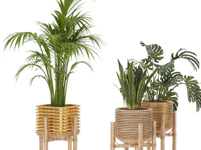 Plant-Collection-01 three wooden planters Free 3D model