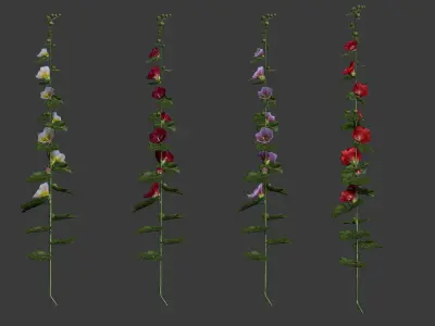 Malva 4 color Low-poly 3D model