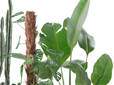 Plants collection 133 3D model