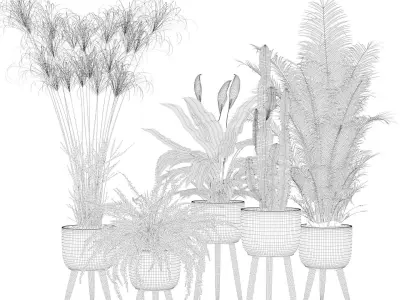 Plants collection 052 3D model