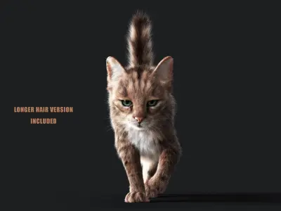 Cat Grey Tabby ANIMATED  YETI version 3D model