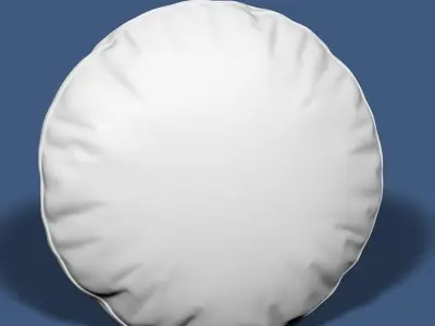 Pillow 43 3D model