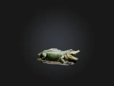 Realistic Crocodile Model Low-poly 3D model