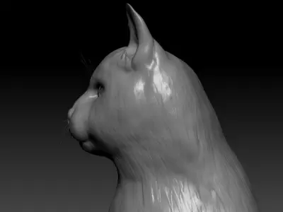 Cat head 3D model