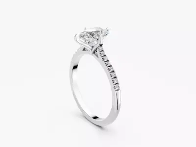 ZABS0013B PS engagement 3D print model