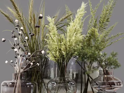 Collection Indoor Plants 03 3D model