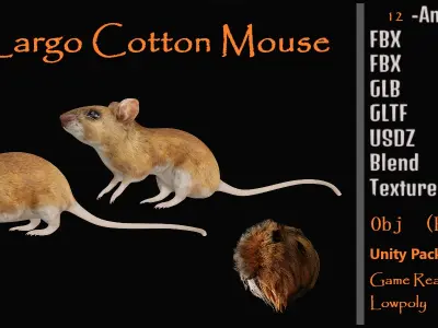 Key Largo Cotton Mouse Low-poly 3D model