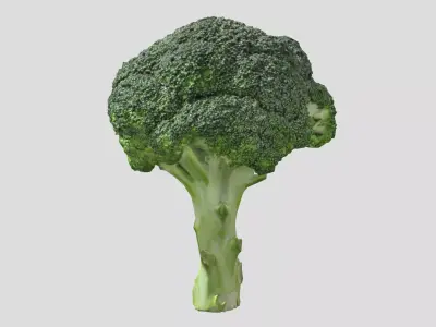 Broccoli Low Poly Low-poly 3D model