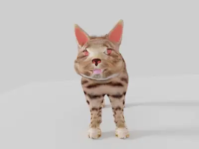 cat 3d senegal 3D model