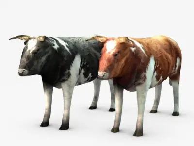 Cow three cows 3D model