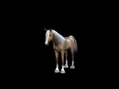 ARABIAN HORSE PUREBLOOD WILD WORLD PONY Low-poly 3D model