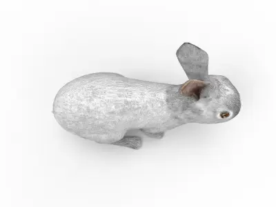 3D Rabbit low poly mode Low-poly 3D model