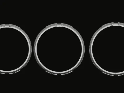 Phoenix bangle 3D print model