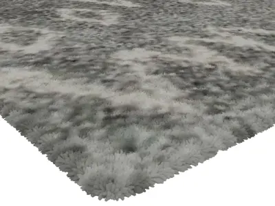 Rug Set 1572 3D model