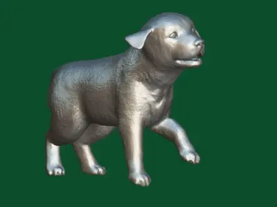 Belgian Shepherd Puppy Dog Breed 3D model