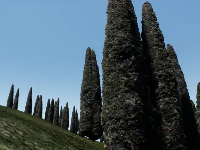 Tree cypress for distance view adapted for games  Low-poly 3D model