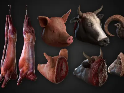 Carcasses Low-poly 3D model