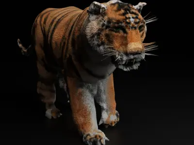 Tigre-Cycle-Walk 3D model