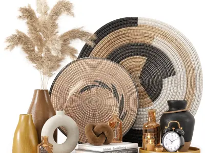 Pampas Decorative Set 04 Dried Flower 3D model