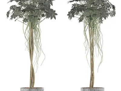 Plants Collection 90 3D model