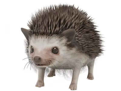 Hedgehog Low-poly 3D model