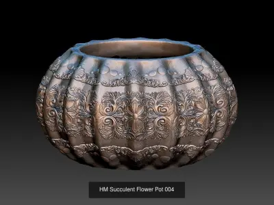 HM Succulent Flower Pot Three Models together Promotional price 3D Model Collection