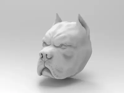 pitbull head 3D model
