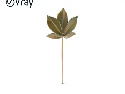 Maple Leaf Decor Model Pack Low-poly 3D model