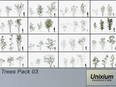 Trees - Pack 2 3D model