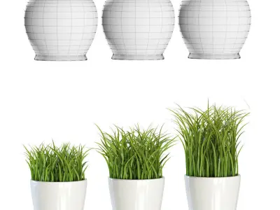 Grass in pots 3D model