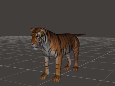 ultimate tiger rigged 3D model