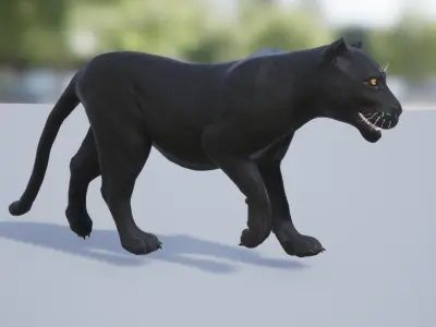 Pack of wild cats Low-poly 3D model