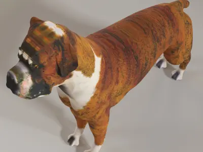 Boxer - 3D Dog Low-poly 3D model