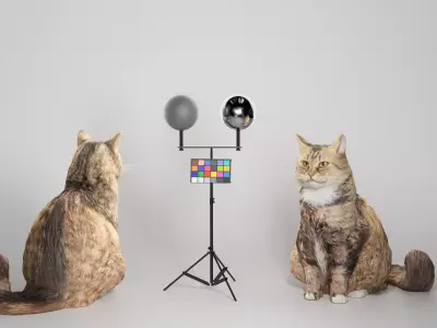 Fluffy cat 15 Low-poly 3D model