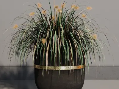 INDOOR PLANT SET 10 3D model