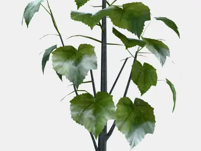 FEJKA Artificial potted plant 1 Low-poly 3D model