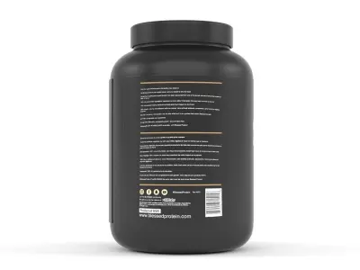 Protein Powder 3D model 178