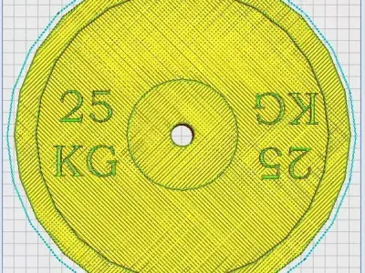 Bumper Plate 25 Kg 3D print model