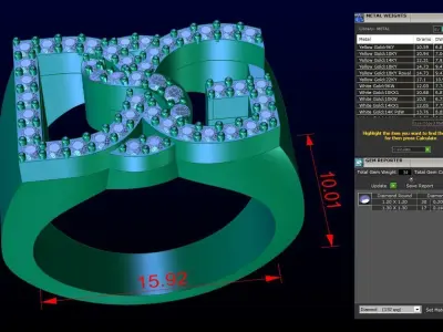 DSG ring size 6 3D print model