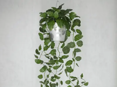 set of plants 3D Model Collection