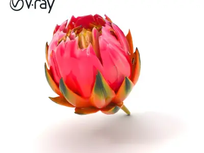Vivid Protea Flower Model Pack Low-poly 3D model